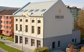 Chmelnice